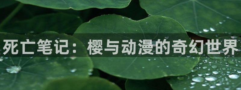 omofun动漫官网在线看：死亡笔记：樱与动漫的奇幻世界