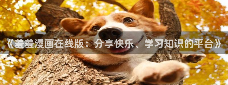 omofun 在线观看