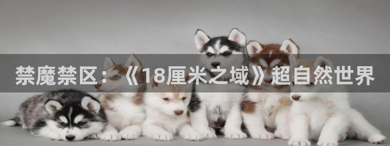omofun动漫视频网