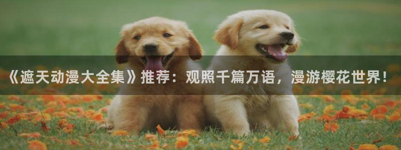 omofun纯净无广告版：《遮天动漫大全集》推荐：观照千篇万语，漫游樱花世界！