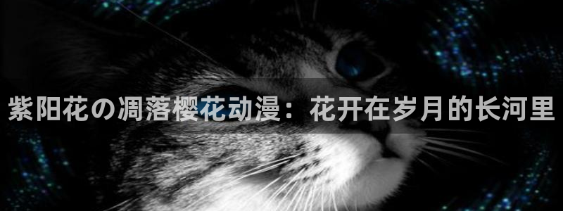 omofun动漫下载最新版：紫阳花の凋落樱花动漫：花开在岁月的长河里