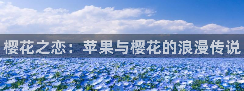 omofun一个：樱花之恋：苹果与樱花的浪漫传说
