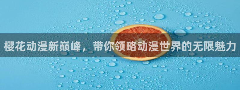omofun动漫视频：樱花动漫新巅峰，带你领略动漫世界的无限魅力