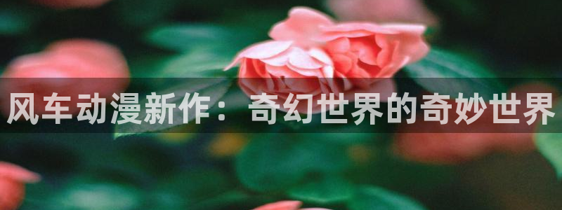 omofun.on：风车动漫新作：奇幻世界的奇妙世界