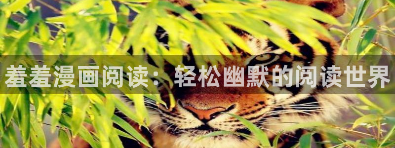 omofun,：羞羞漫画阅读：轻松幽默的阅读世界