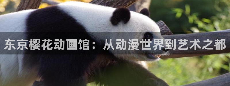 动漫omofun下载