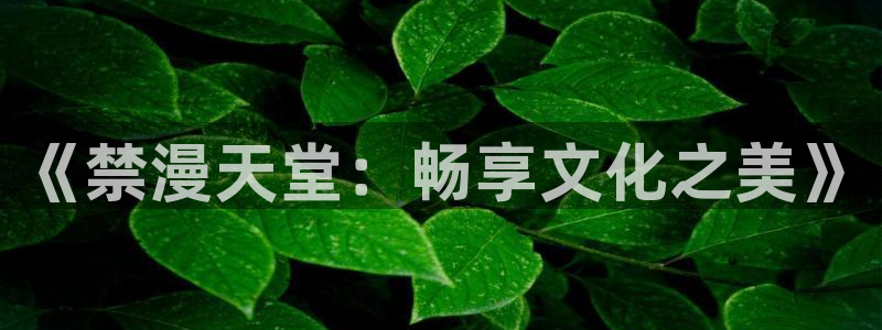 omofun苹果版：《禁漫天堂：畅享文化之美》