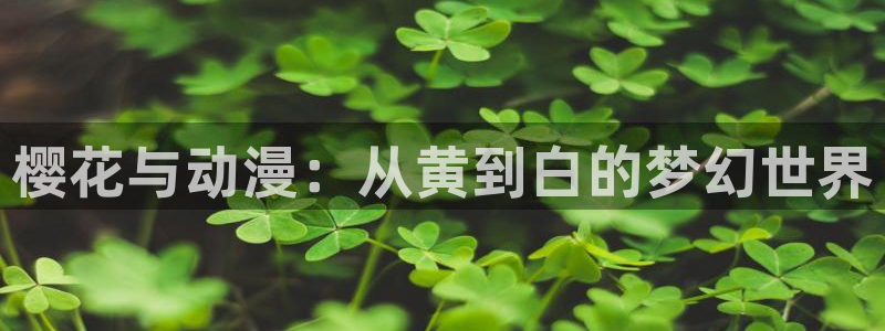 omofun有ios版吗：樱花与动漫：从黄到白的梦幻世界