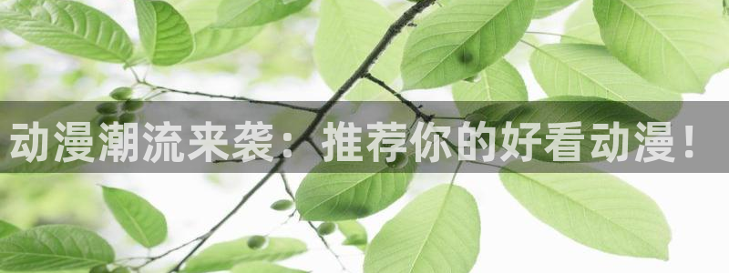 omofun吗：动漫潮流来袭：推荐你的好看动漫！