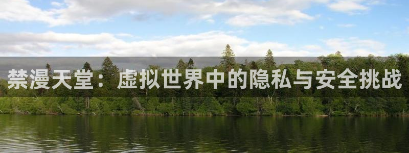 omofun动漫旧版本：禁漫天堂：虚拟世界中的隐私与安全挑战